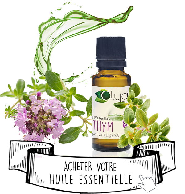 L'Huile Essentielle de Thym - Olyaris